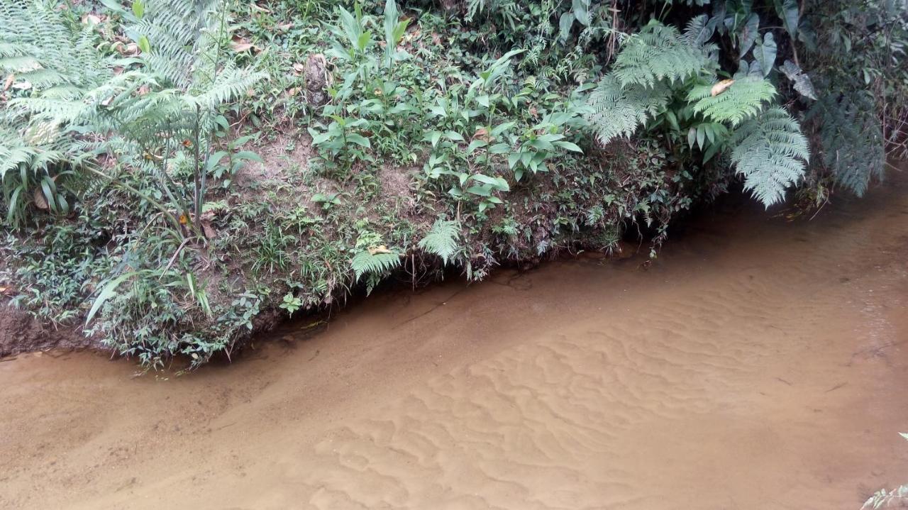 Chales Pouso Do Vale Visconde De Maua Kültér fotó
